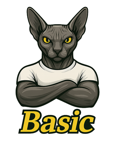basic-1-png.png